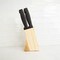 Home Basics 6 Piece Stainless Steel Steak Knife Set with All Natural Wood Display Block